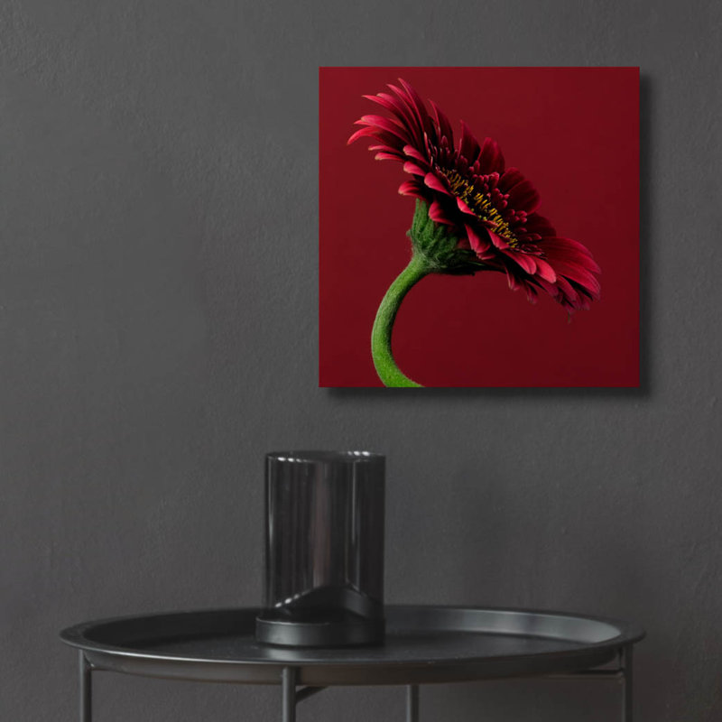 "Red Gerbera On Red 05" par Tom Quartermaine, H 12 po x l 12 po x P 0,13 po