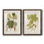 Feuilles antiques III - ensemble de 2 reproductions d'art sur papier encadré-2095188290-2095188293