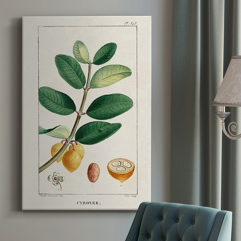 Turpin Tropical Botanicals V, H 18 po x l 12 po x P 1 po