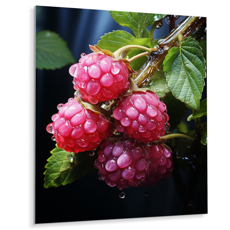 Lustrous Raspberry Radiance II - fruits, art mural en métal, H 32 po x l 24 po x P 1 po