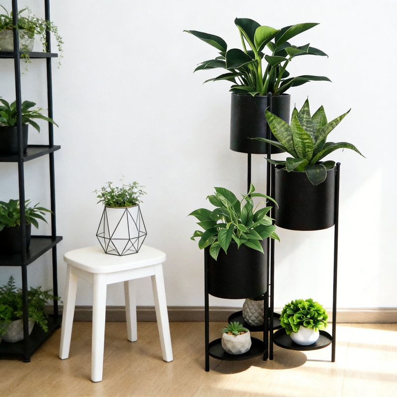 Plant Stand