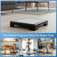 Step Stool - Indoor and Outdoor Platform Stepping Stool with Slip-Resistant Top and 250-Pound Capacity - For Cars, Bed, and More by Bluestone