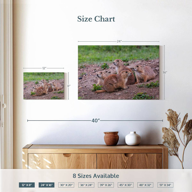 Brampt Forest Brampt Nursery, 16" H x 24" W
