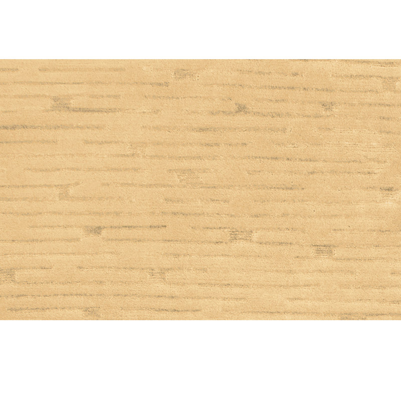 Area Rug in Ginger/Beige, Rectangle 9' x 12'