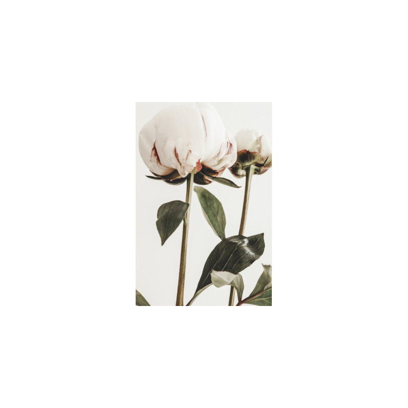 Wrapped Canvas Print, 60.96 cm H x 91.44 cm W