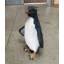 Statue pingouin Rock Hopper