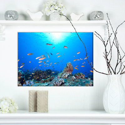 « tropical corails », reproduction de photo sur toile tendue