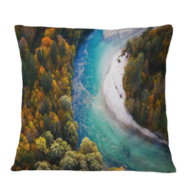 Throw Pillow