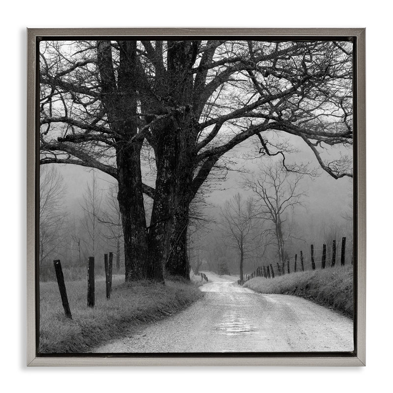 "Lonely Path Vers Trees", art mural encadré flottant par Nicholas Bell, Cadre flottant gris lustré, H 25 po x l 25 po