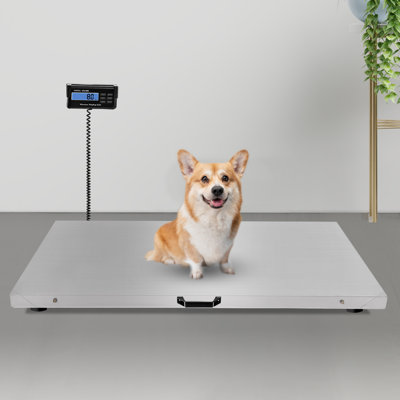 SUNYOU Digital Physician Scale