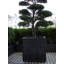 Handmade Pot Planter-26335897-48478072