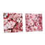 Rose Sakura Blossoms Floral - Japon, ensemble d'art mural acrylique sur verre, ensemble de 2-103921521