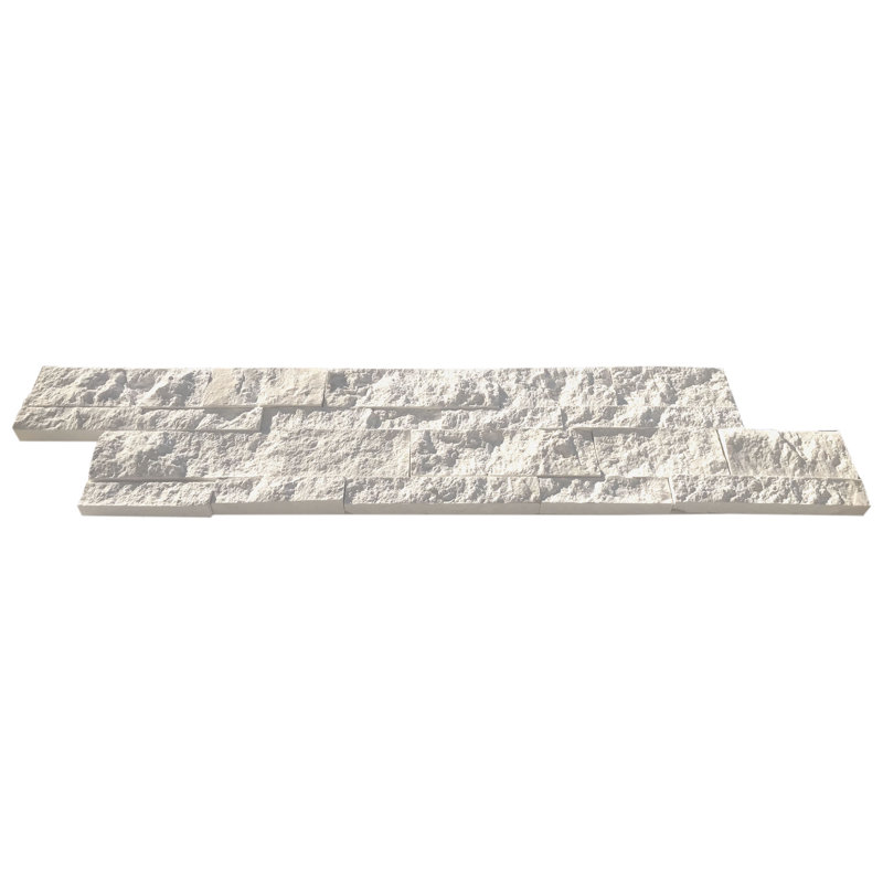 Panneau de mosaïque 6X24 Fossil Stone