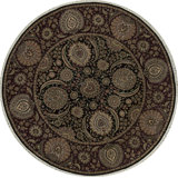 Wool Oriental Area Rug