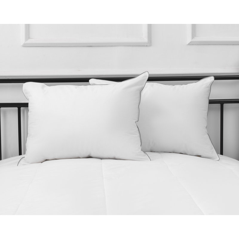 Coussin Davila, Très grand