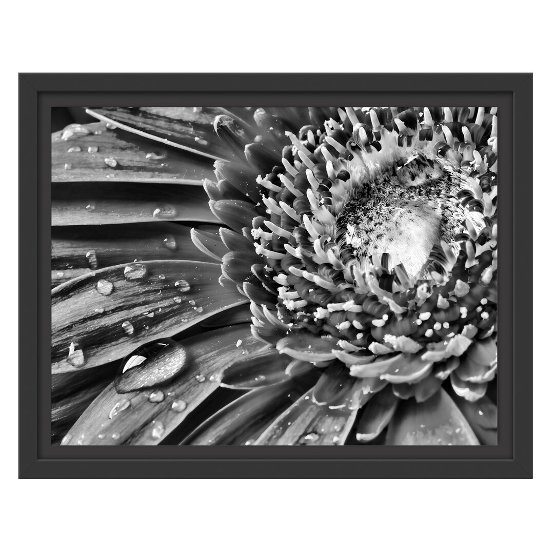 Gerahmtes Wandbild Gerbera Gras Blumen