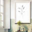 " FLORAL SKETCH II "-323769394-323769402