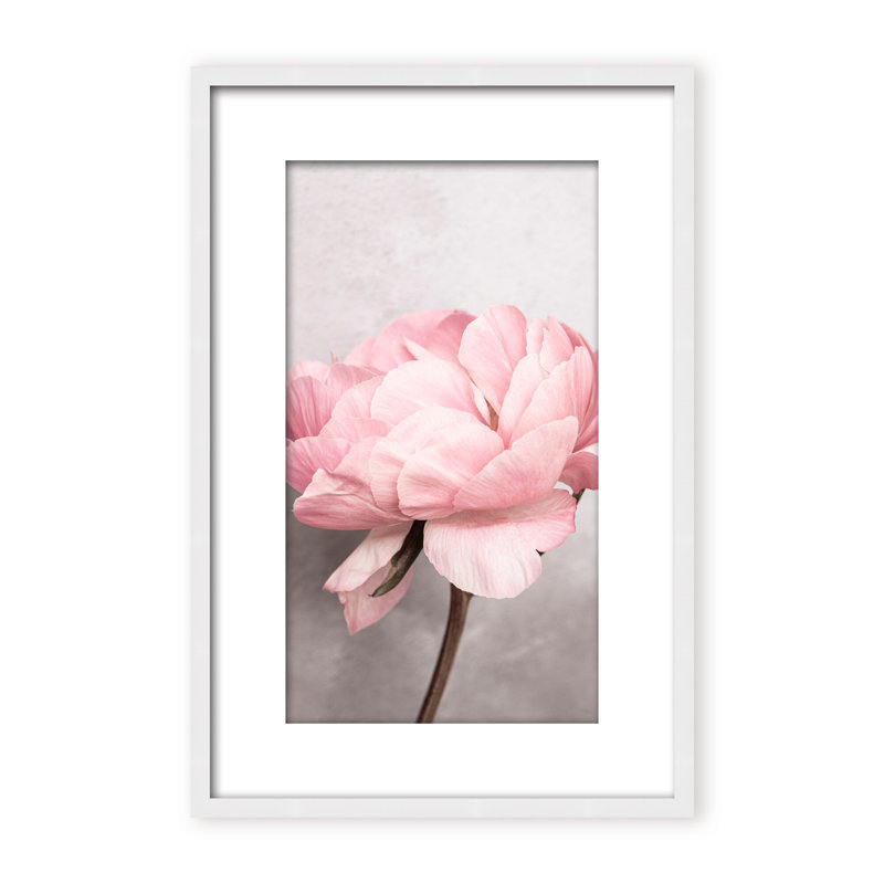 Nature Inspired Peony by  - Picture Frame Photograph on Paper, 24" H x 16" W x 1.125" D, Black, Framed Matted Print