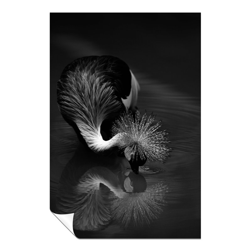 Drinking Bird Reflection In Water - No Frame Print, 61cm H x 41cm W x 0.5cm D