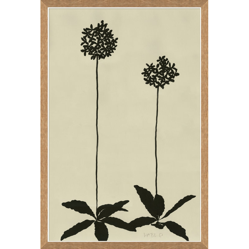 Allium Giclee Print by Susan Hable