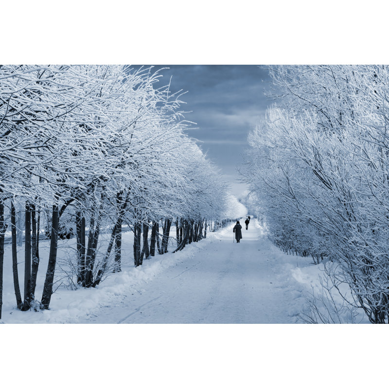 Permafrost Winter by Podfoto - Wrapped Canvas Print, 30cm H x 46cm W
