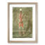 Anatomical Illustration of a Male No. 8 by Gautier-Dagoty - Picture Frame Painting Print-55682149-55682145