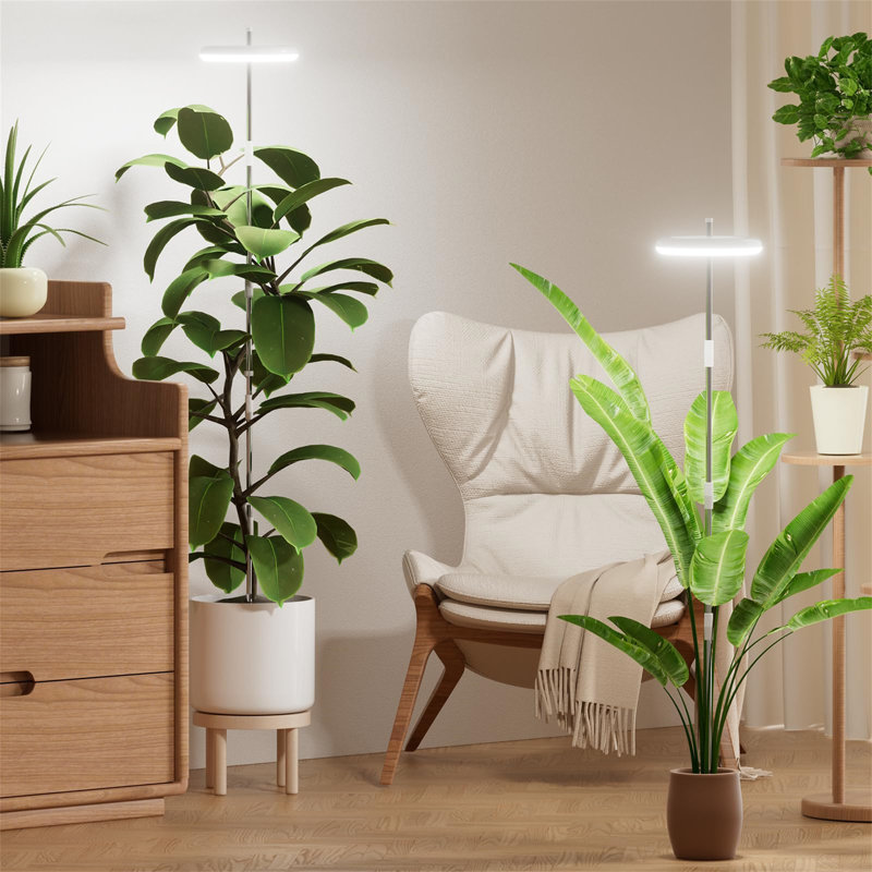 Ivy Bronx Grow Light