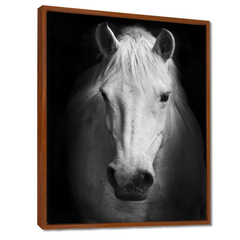 Cheval, reproduction d'art sur toile, cheval noir et blanc, H 32 po x l 24 po, Reproduction avec cadre flottant, Brun