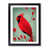 Black Framed selected