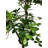 Hand-Made Primrue Fresh Italian Black Olive Leaf 5'' Artificial Tree