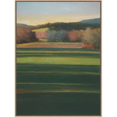Striped Field 1 Print by David Skinner