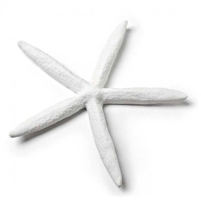 Simple Starfish Decoration