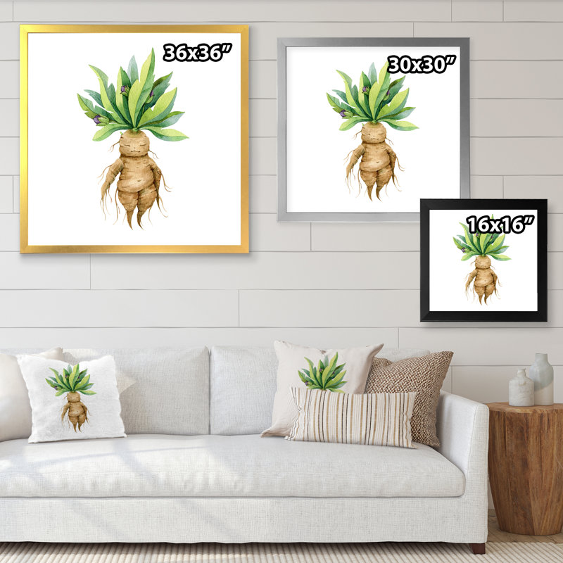 Mandragora plante - reproduction d'art sur toile traditionnelle, H 36 po x l 36 po x P 1 po, Cadre photo blanc