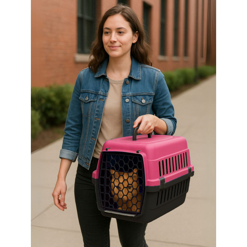 Boîte de transport pour animaux, H 11,81 po x l 17,72 po x P 11,81 po, Rose
