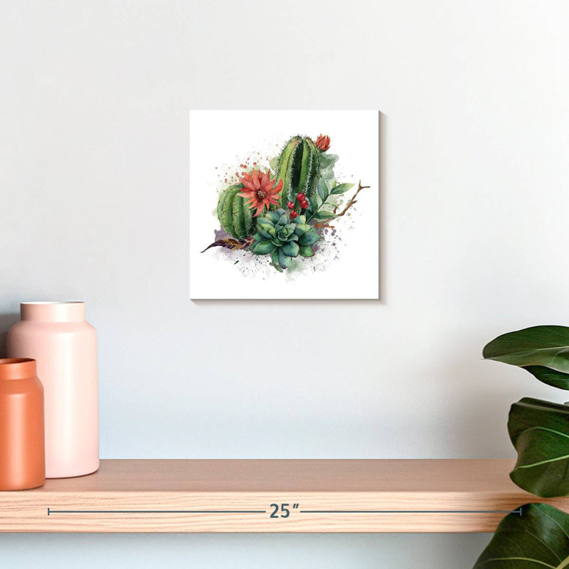 Harnek succulentes et éclaboussures de cactus, H 10 po x l 10 po