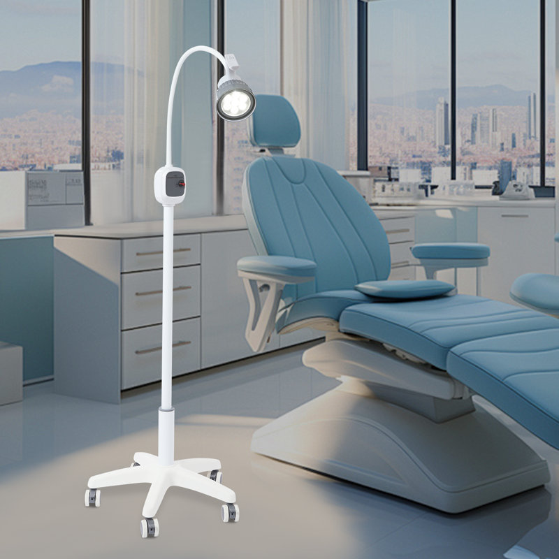 Lampe d'examen médical, lampe d'examen chirurgical DEL sur pied avec roulettes pour clinique, hôpital vétérinaire et chirurgie esthétique