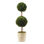 Preserved Boxwood Double Ball Topiary in Pot