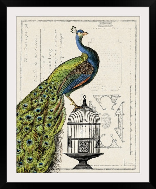 « i » par sue schlabach, impression Peacock Birdcage, H 48 po x l 38 po x P 1,5 po, Toile