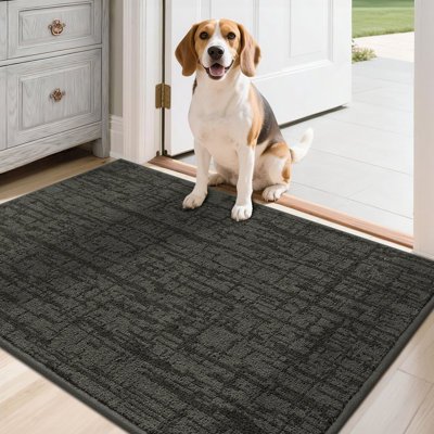 Non-Slip Absorbent Door Mat with TPR Backing – Soft, Washable, Low-Profile Doormat for Indoor Entrance, Perfect for Pets & Family