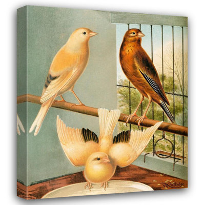 "Linnet and Canary Mules" by  W. A . Blakston - Gallery Wrap Canvas Wall Art