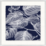 Transitional Leaf Composition On Navy 8 Print
