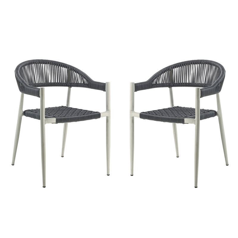 Demica 22" Width PE Wicker Outdoor Arm Chairs, Light Grey