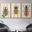 Collection Antique Coral VII - 3 pièces, reproduction d'art sur toile-97759222-97759223