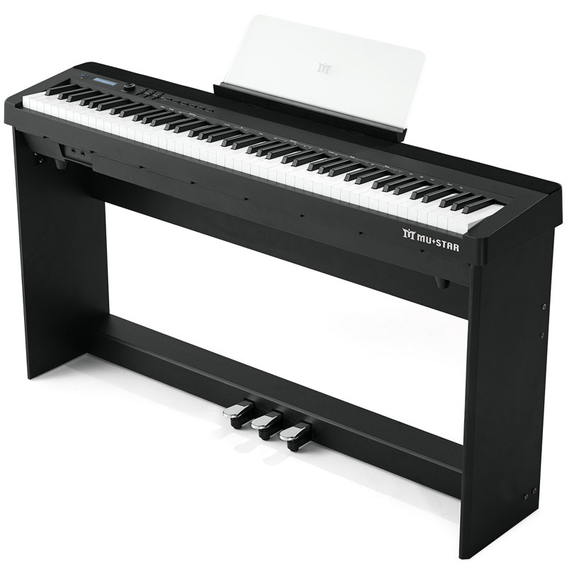Black Wood Electric Play Music Instrument