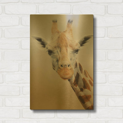 'Evie' By Sam Dolman Gold Metal Wall Art, 16" x 24"