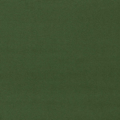 Wardle Velvet Fabric