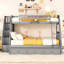 Lit superposé simple gris avec tiroirs. Fabrication en bois massif. Maximisez l'espace de rangement. Polyvalent pouvant être divisé. Barrière de sécurité sécuritaire. Aucun sommier tapissier requis et trois tiroirs de rangement en pin.