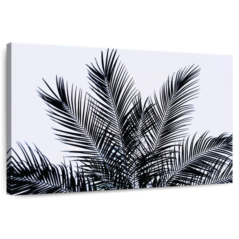 Feuilles de palmier Harnek, H 20 po x l 30 po