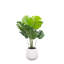 Monstera artificiel de 4 pi