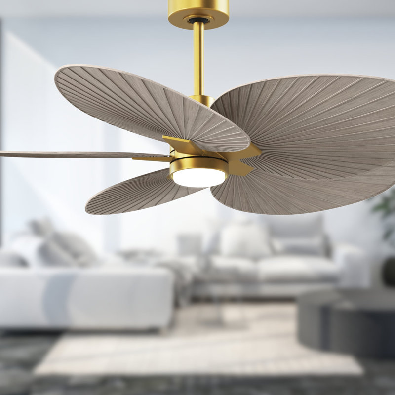 Alessandra Tropical - Five Blade Ceiling Fan - Integrated LED -Matte Black Finish -Light Blue Blades, Brushed Brass